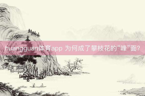 huangguan体育app 为何成了攀枝花的“峰”面？