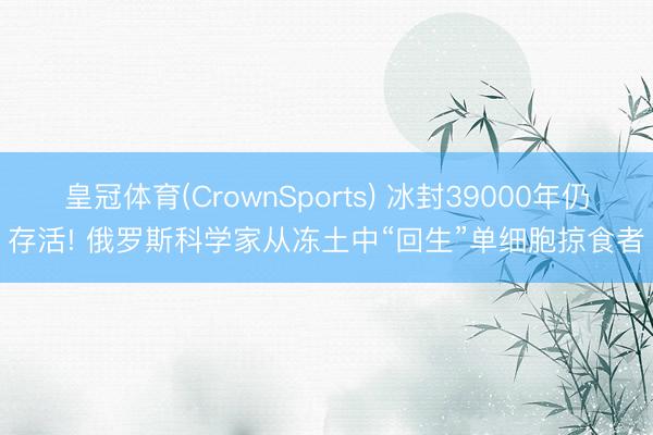 皇冠体育(CrownSports) 冰封39000年仍存活! 俄罗斯科学家从冻土中“回生”单细胞掠食者