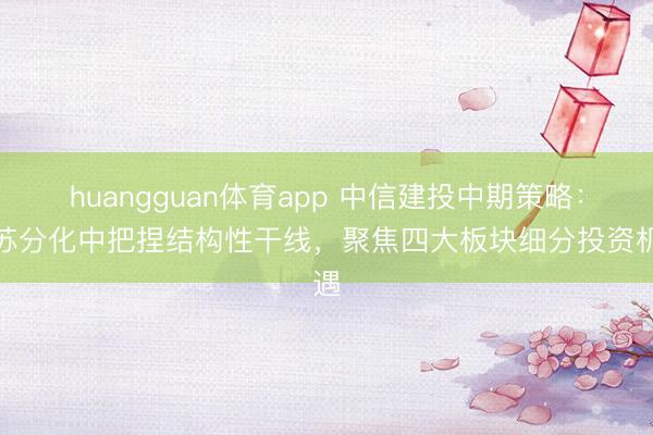 huangguan体育app 中信建投中期策略：复苏分化中把捏结构性干线，聚焦四大板块细分投资机遇