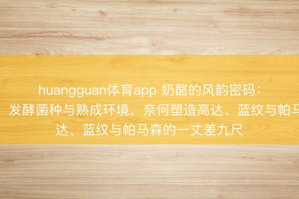 huangguan体育app 奶酪的风韵密码：详解凝乳酶类型、发酵菌种与熟成环境，奈何塑造高达、蓝纹与帕马森的一丈差九尺