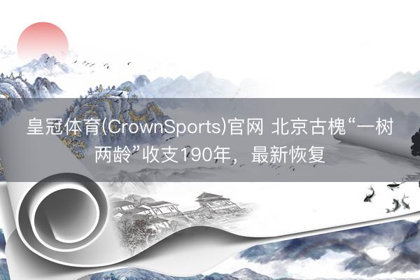 皇冠体育(CrownSports)官网 北京古槐“一树两龄”收支190年，最新恢复