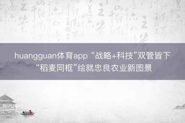 huangguan体育app “战略+科技”双管皆下 “稻麦同框”绘就忠良农业新图景