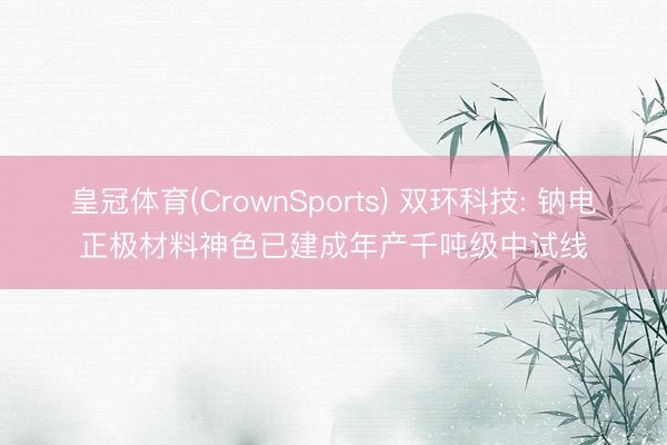 皇冠体育(CrownSports) 双环科技: 钠电正极材料神色已建成年产千吨级中试线