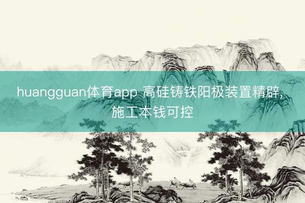 huangguan体育app 高硅铸铁阳极装置精辟， 施工本钱可控