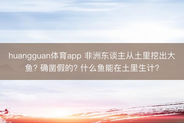 huangguan体育app 非洲东谈主从土里挖出大鱼? 确凿假的? 什么鱼能在土里生计?