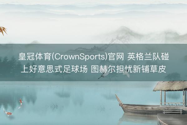 皇冠体育(CrownSports)官网 英格兰队碰上好意思式足球场 图赫尔担忧新铺草皮