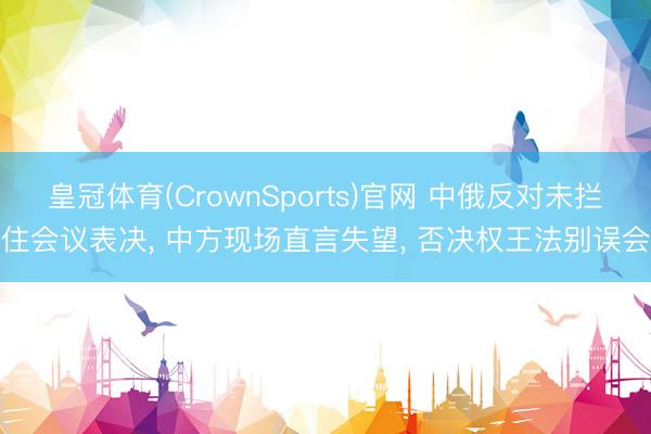 皇冠体育(CrownSports)官网 中俄反对未拦住会议表决, 中方现场直言失望, 否决权王法别误会