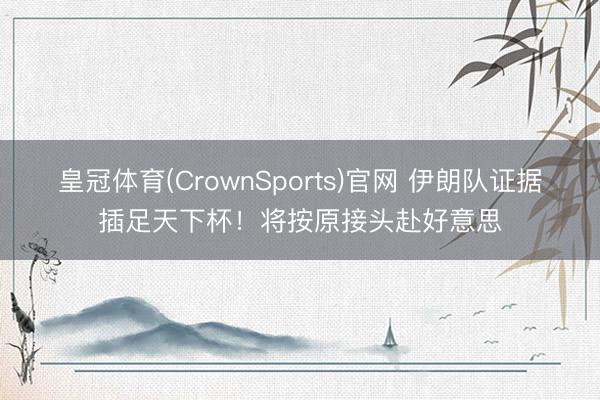 皇冠体育(CrownSports)官网 伊朗队证据插足天下杯！将按原接头赴好意思