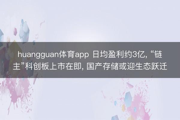 huangguan体育app 日均盈利约3亿， “链主”科创板上市在即， 国产存储或迎生态跃迁
