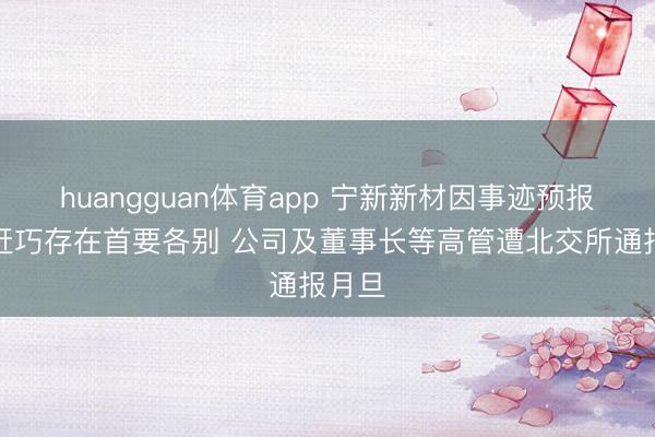 huangguan体育app 宁新新材因事迹预报与修赶巧存在首要各别 公司及董事长等高管遭北交所通报月旦